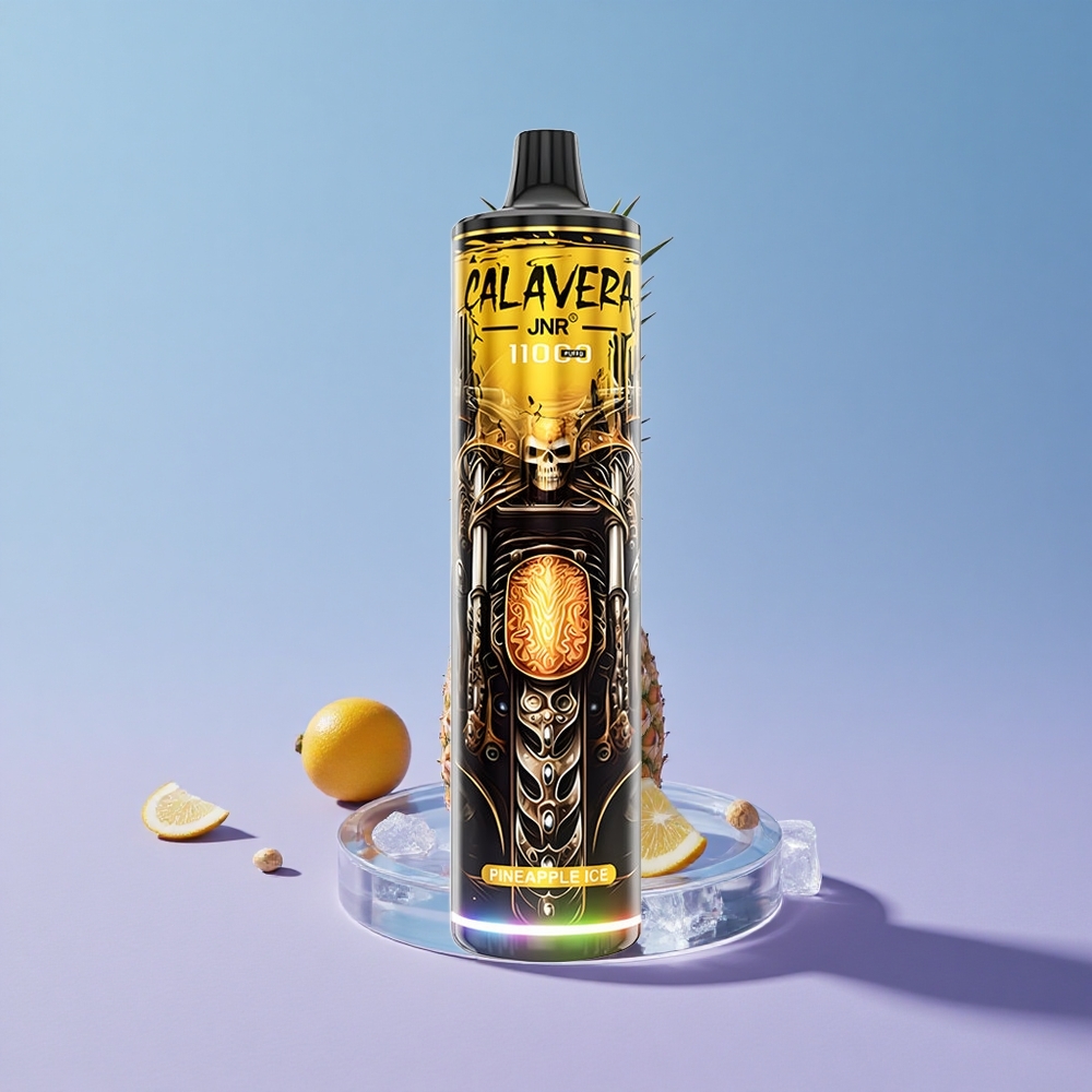 Ananas Is JNR Calavera 11000 Puffs Type-C Lading 21ml E-Liq vape wholesale Norway