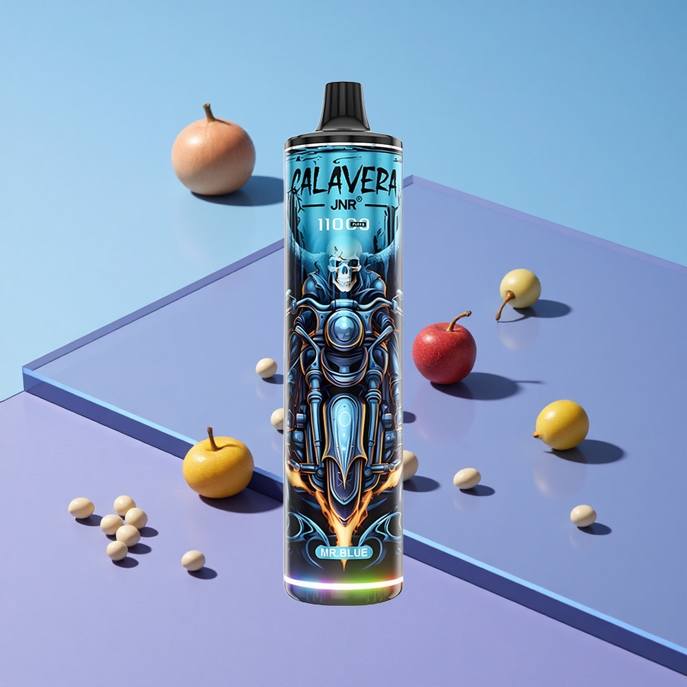 Blå JNR Calavera 11000 Puffs 21ml E-Liquid Type-C Vape wholesale Norway