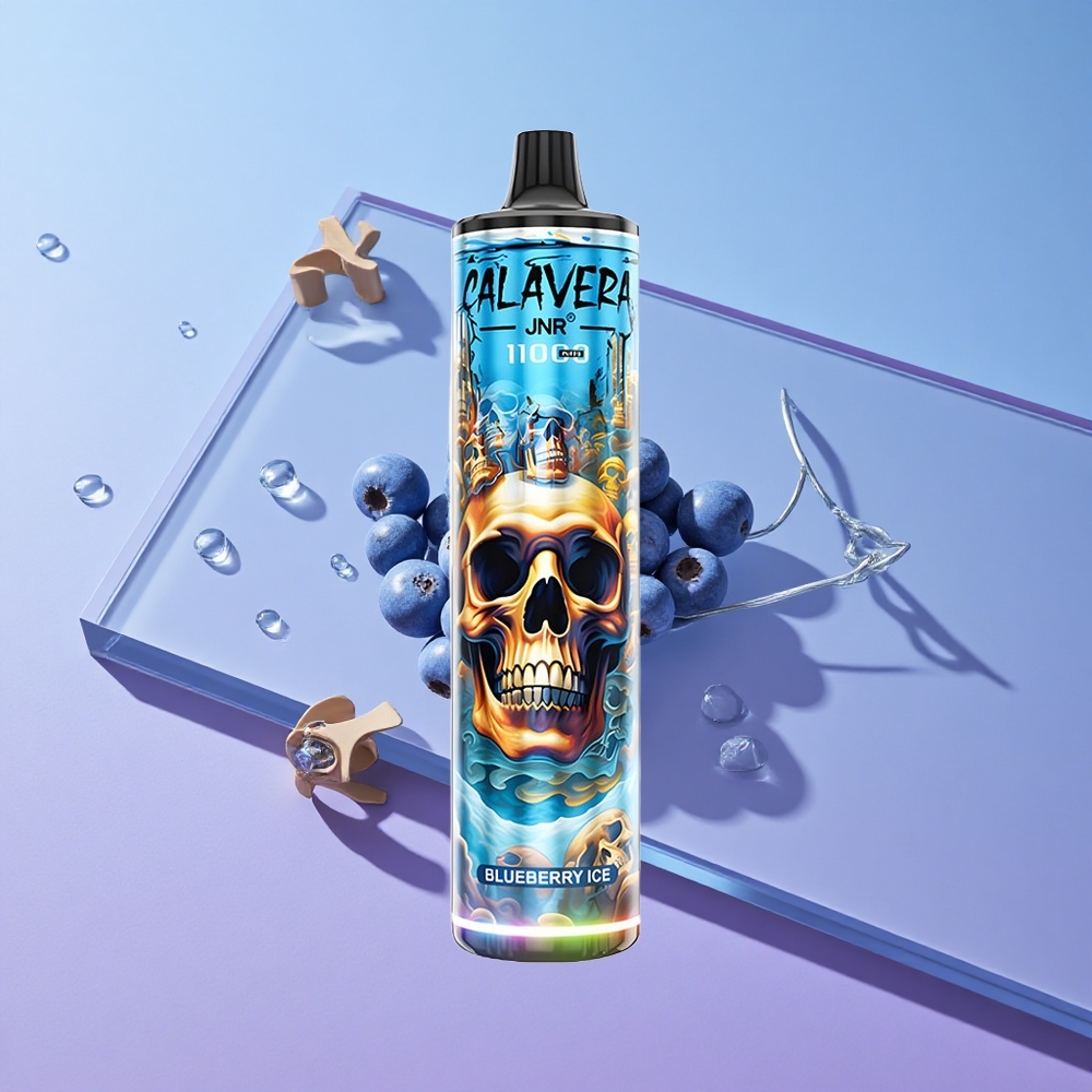 Blåbær Is JNR Calavera 11000 Puffs Type-C Lading vape wholesale Norway