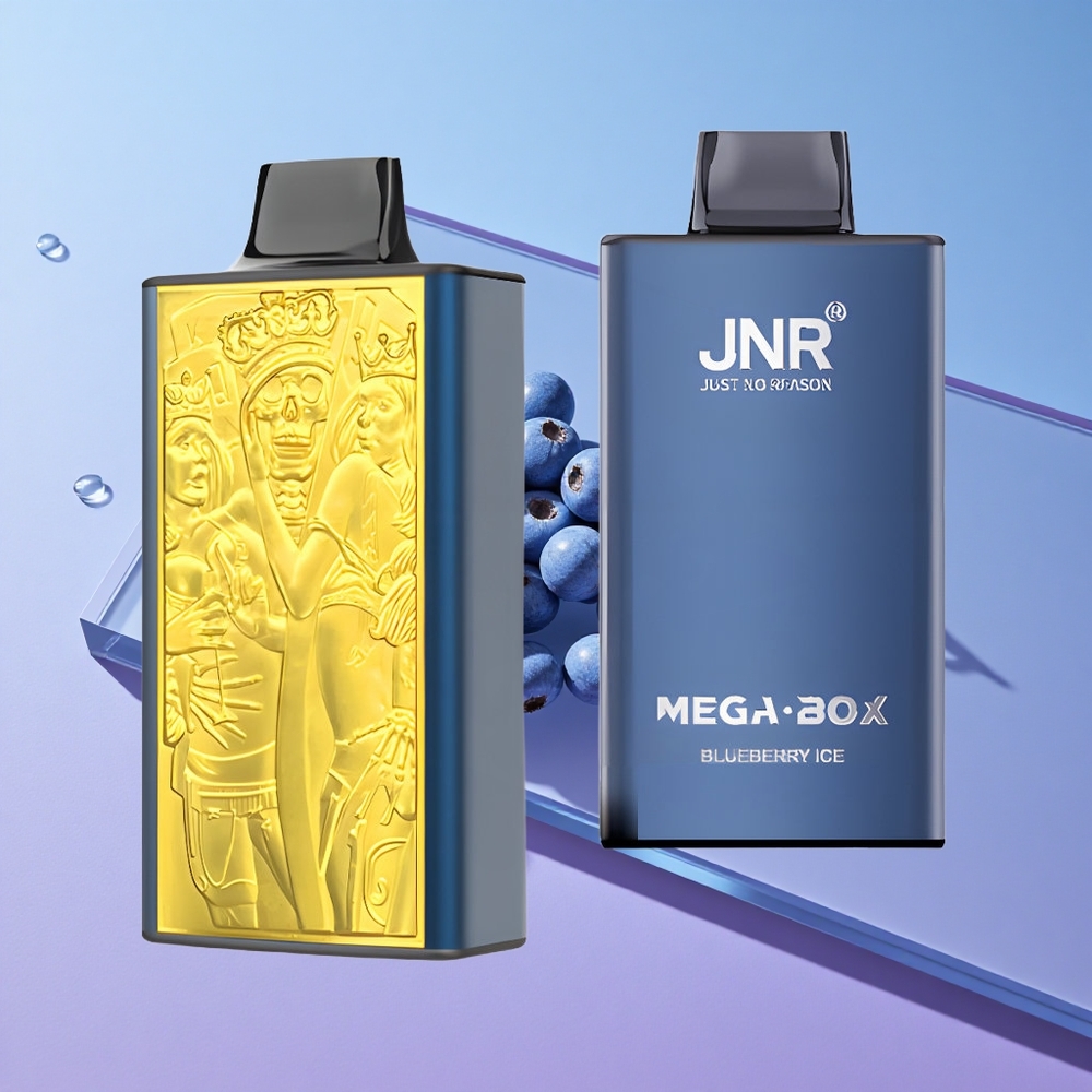 Blåbær Is JNR Mega Box 25000 Puffs Disposable 30ml E-væske Kapasitet vape wholesale Norway