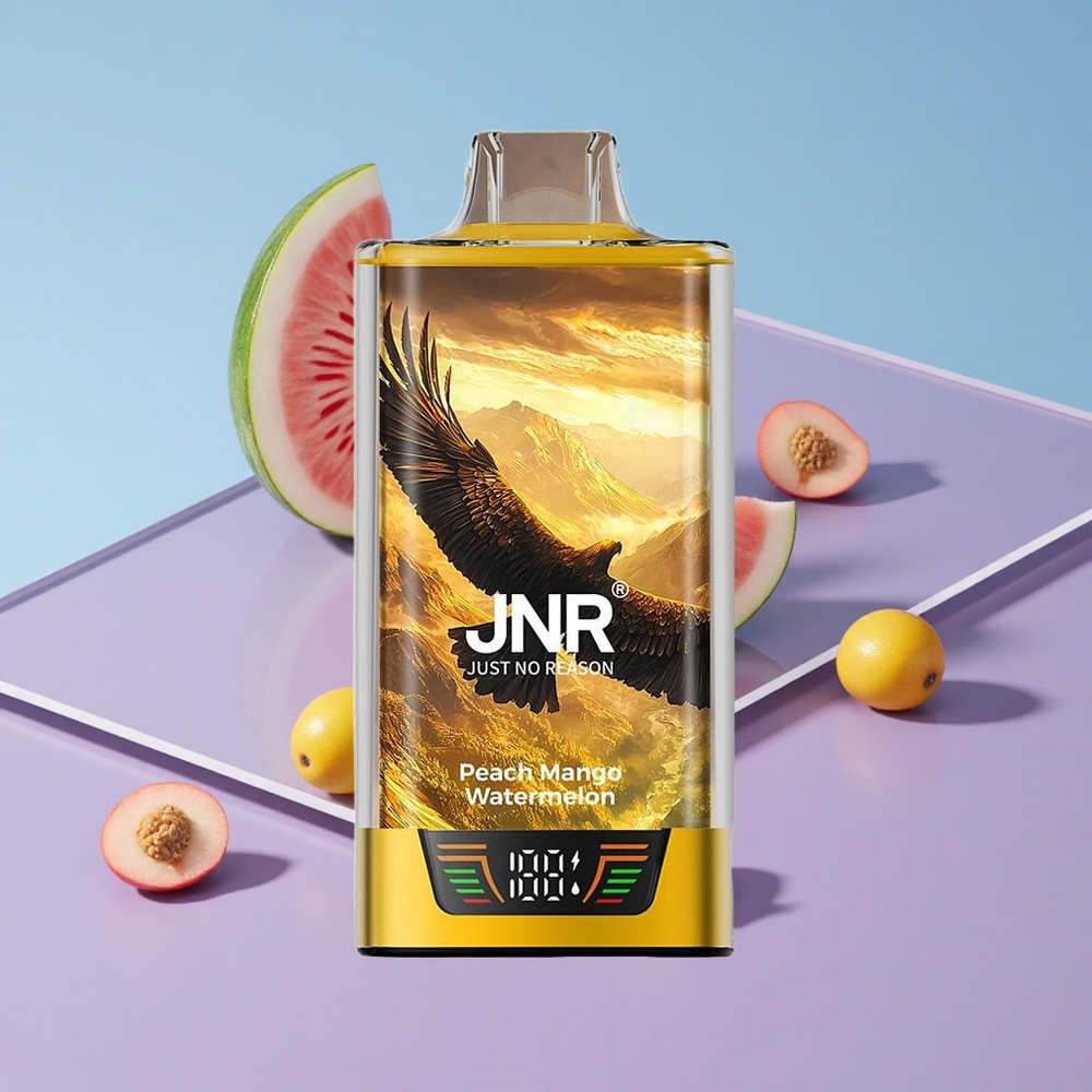 Fersken Mango Vannmelon JNR Falcon Pro 28000 Puffs Smart Display vape wholesale Norway