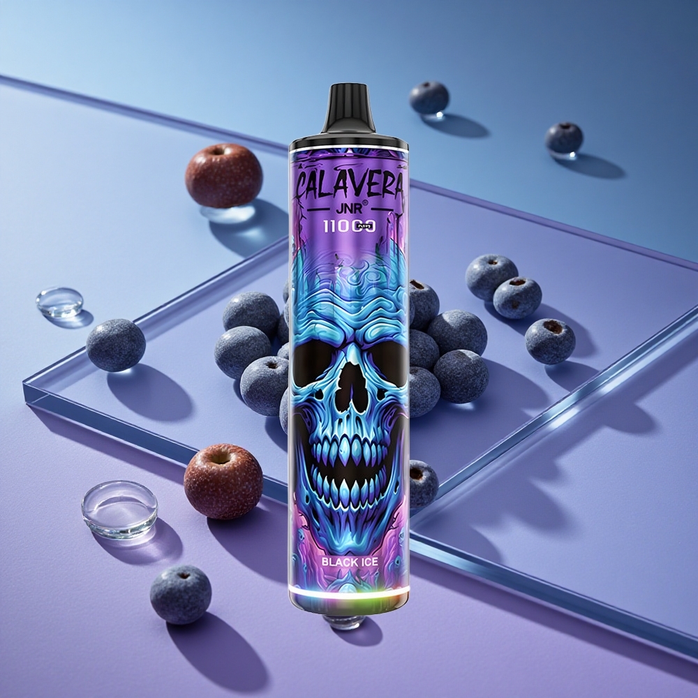 Svart Is JNR Calavera 11000 Puffs Type-C Lading vape wholesale Norway