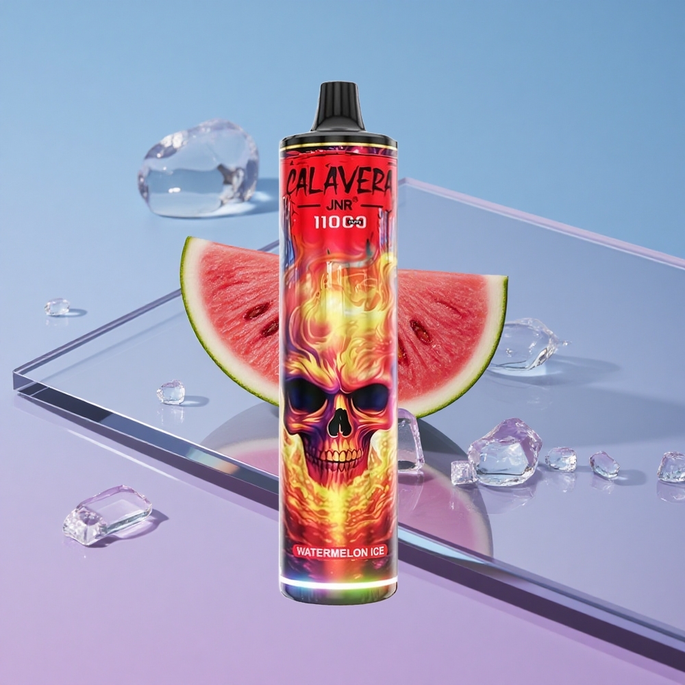 Vannmelon Is JNR Calavera 11000 Puffs Type-C Lading Port vape wholesale Norway