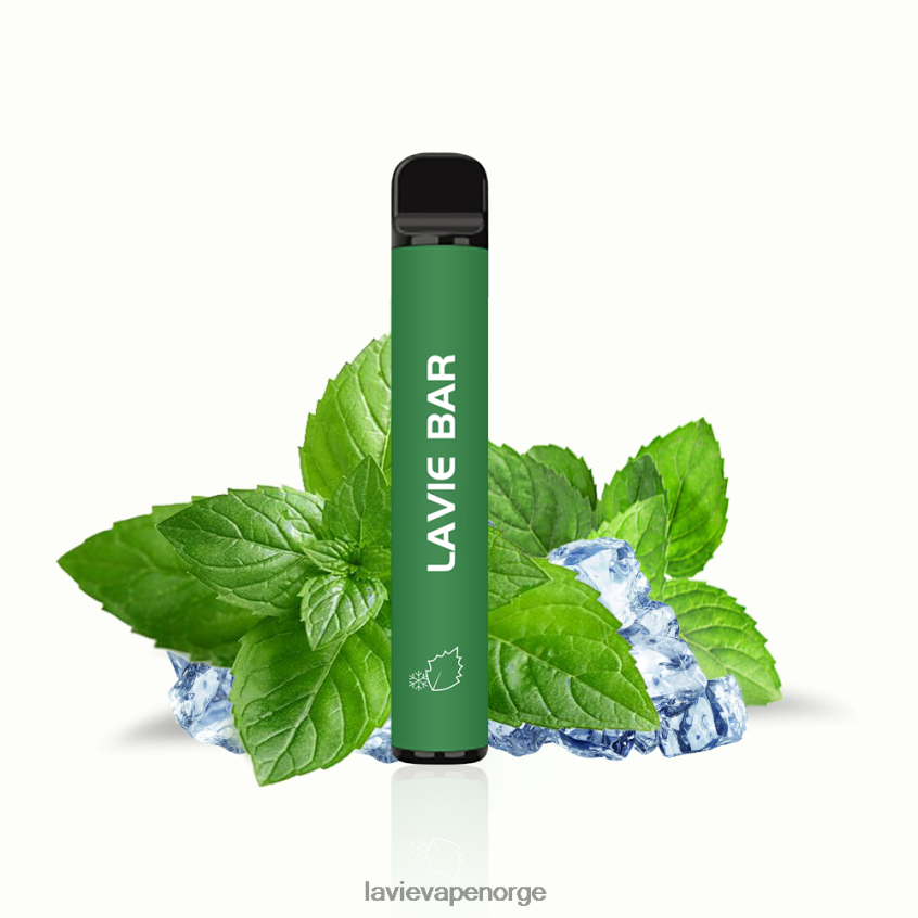 4P8266320 Lavie Vape Norge | kjølig mynte LAVIE BAR 2 % versjon 800 puff